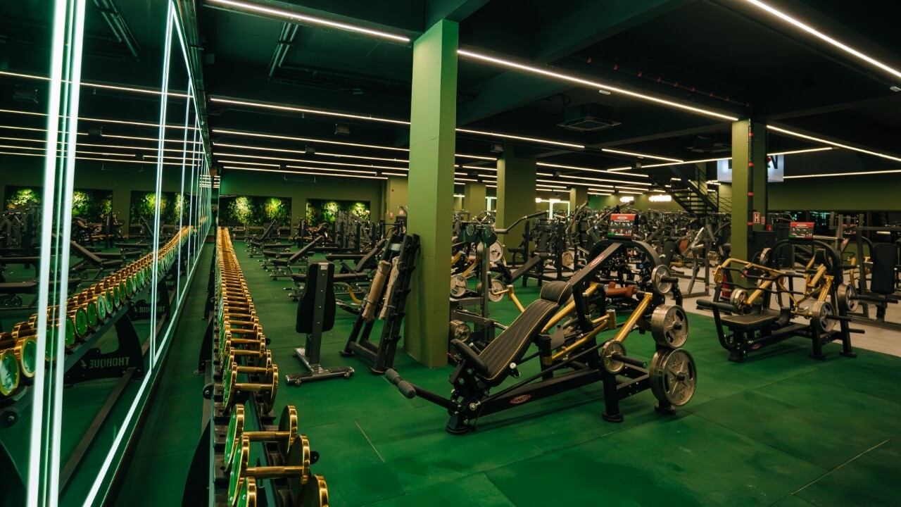 Musculação